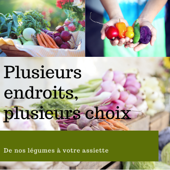 vente sur les marchés, paniers légumes