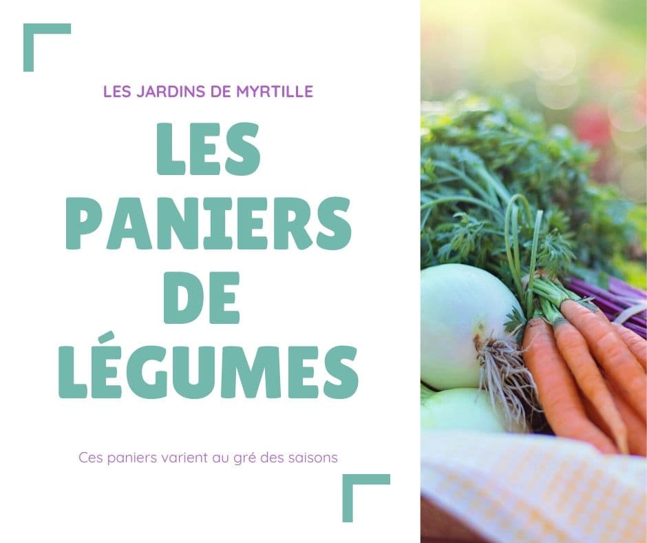 paniers de légumes bio